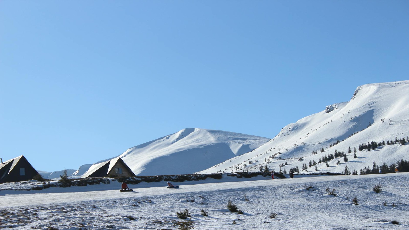 Forest Hill, New South Wales Travel Guide