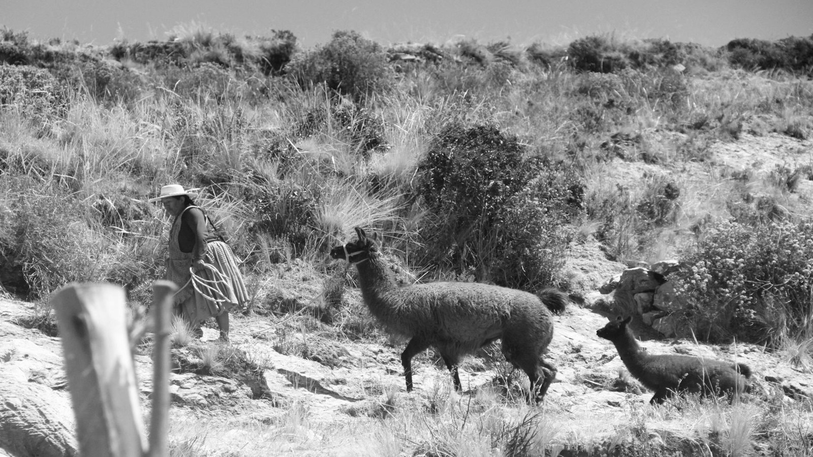 El Alto International Airport